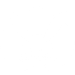 兎